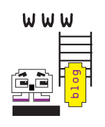 blogging