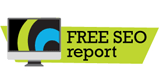 free seo report